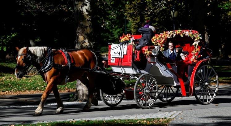 New York votes to ban Central Park horse carriages after decades of debate