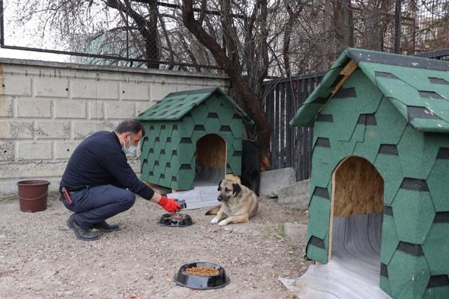 Türkiye converts food waste into animal feed in 74 provinces