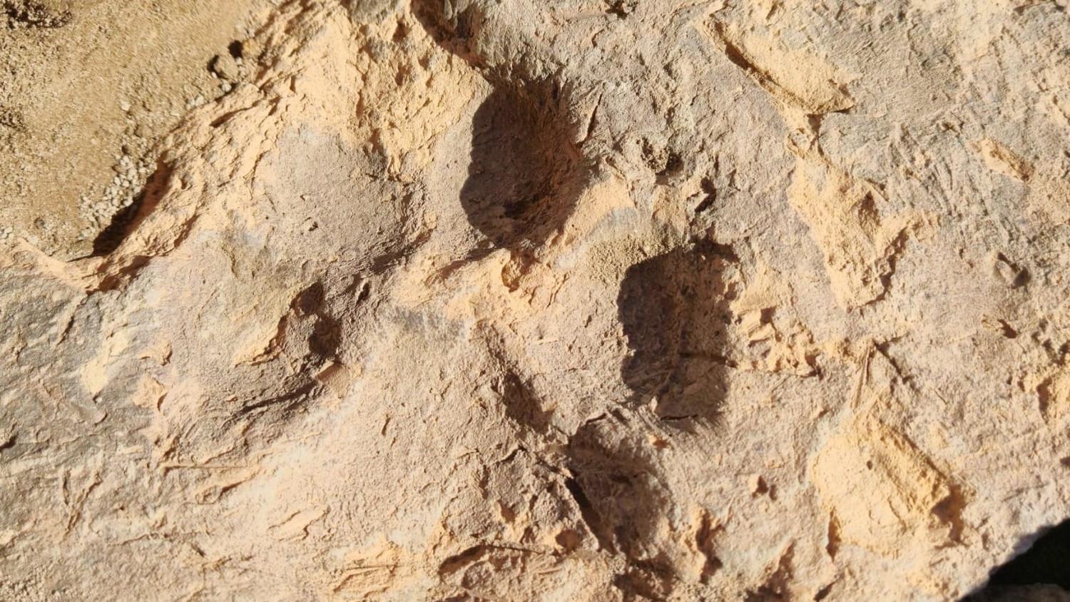 4,000-year-old dog paw prints found at Kütahya’s Tavşanlı Mound