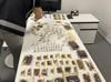 US museum head caught smuggling endemic species