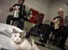 Street cat warms hearts at Sirkeci station