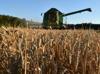 EU reaches accord on new generation of GM crops