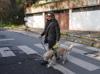 Guide dogs strengthen mobility, safety for Türkiye’s visually impaired