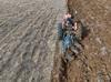 Authorties speed up new farming strategies amid drought