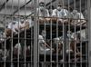 El Salvador leader defends mega-prison
