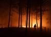 Entire towns wiped out in Chile wildfires