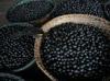 Brazil declares acai a national fruit to ward off biopiracy