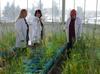 Türkiye develops cold-resistant crops in Erzurum research center