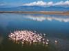 Great Menderes Delta protects wildlife with rich wetlands