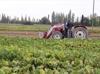 Iran crisis poses new challenges to Turkish agriculture