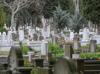Istanbul to install 24/7 surveillance cameras in cemeteries