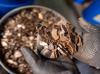 Germany opens rare earth magnet recycling plant