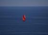 Sea temperatures near all-time highs as El Nino looms: Monitor
