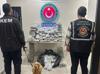 Türkiye seizes 659 kilograms of drugs in week-long border operations