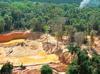 Amazon rainforest under attack from organized crime: Report