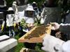 Nature enthusiasts explore bees world