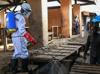 Ebola toll tops 200, other African countries seen at risk