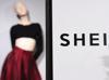 Chinese fast-fashion juggernaut Shein to buy eco-friendly Everlane