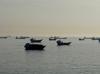 US, Iran inch closer to deal to end war, open Hormuz