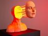 Istanbul Digital Art Festival to explore AI, robotics, ecology