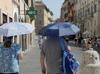 80 pct chance of El Nino developing June-August: UN