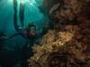 Turkish free diver raises awareness for coral reefs on World Oceans Day