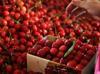 Strong harvest expected to boost Türkiye’s cherry exports