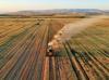 Türkiye’s agricultural output tops $83 billion in record high