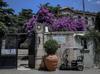 Revival hopes grow for long-closed Halki seminary off Istanbul