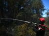 Thousands flee raging wild fires in southern Europe