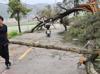 Typhoon makes landfall in China, downgraded to severe tropical storm