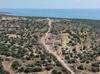 Ancient Roman road uncovered in southern Türkiye