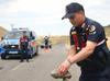 Gendarmerie patrols ‘Tortoise Valley’ to protect wildlife