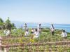 What happens when seafood restaurant decıdes to save sea