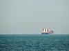 Crude oil hits one-month high amid renewed US-Iran fighting