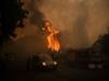 More than 80,000 flee forest infernos in France and Spain
