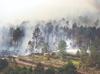 Rain dampens the France fire, as Spain reports almost no flames