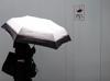 New intelligence body meets in spy paradise Japan