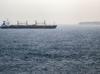 Saudi Arabia sets up maritime defense alliance to secure Red Sea