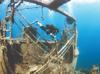 Çeşme eyes dive tourism with rich marine life