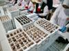 Türkiye’s chocolate exports top $500 million in first half of 2026
