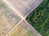 Brazil’s natural areas shrink: Study
