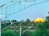 Turkish State Railways launches Istanbul stork study
