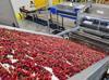 Cherry exports hit $235 mln in seven months