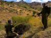 Türkiye identifies 46,490 mines in Hakkari