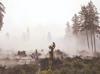 Belgian wildfire ‘encircled’ but situation still ‘complicated’