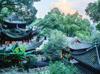 In search of Longjing: The hands behind China’s most revered green tea