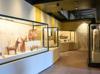 Troy exhibition at Colosseum draws over 2 mln visitors