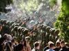 EU condemns glorification at Mladic funeral in Serbia