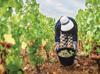 Scorching summer pushes French wine harvest to new historic low